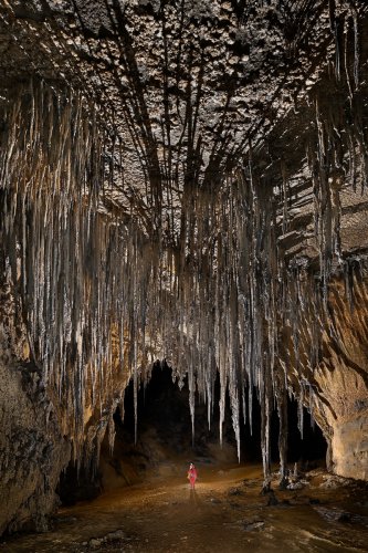 Cueva Canuela (Cantabrie, Espagne) - Grande galerie avec longues stalactites grises plates formées par le vent (personnage au milieu) (verticfale)(SP-26-1067)