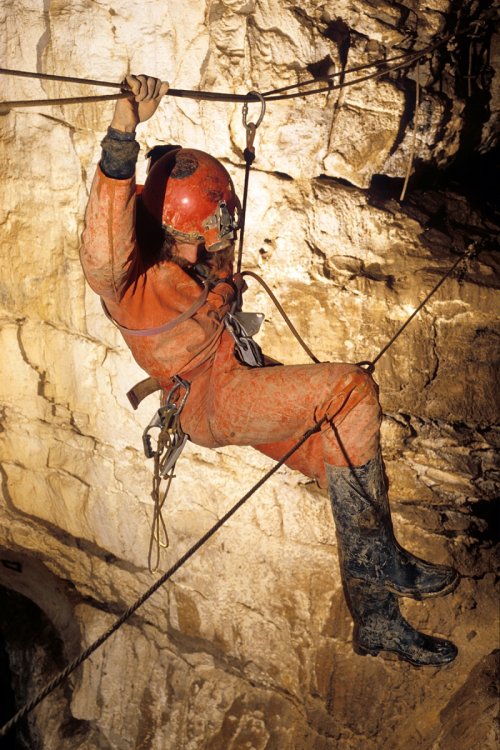 spe-03292(Spe-03292)