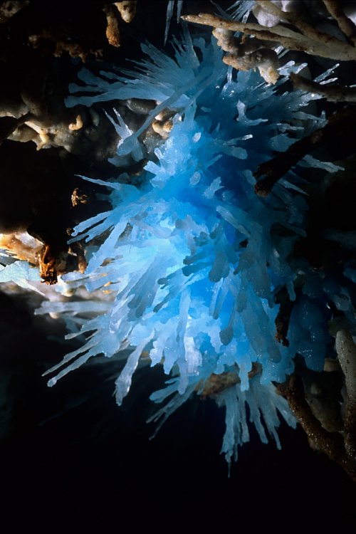 Aven des Crozes (Hérault) - Petit bouquet d'aragonite bleue(Spe-06367)