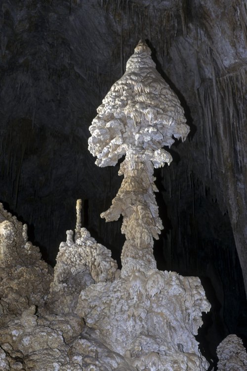 spe-06721-hd(Spe-06721-Hd.jpg)