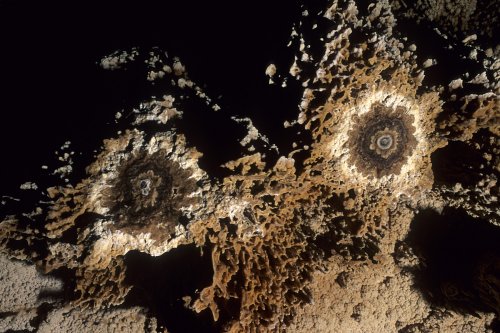 spe-06781-hd(Spe-06781-Hd.jpg)