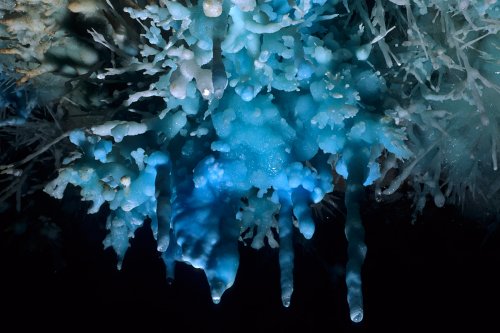 Aven des Crozes (Hérault) - Bouquet d'aragonite bleue(Spe-07230)