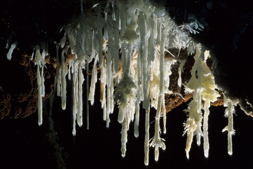 Grotte de Pousselières (Hérault) - Rideau de stalactites avec aragonite(Spe-07407)