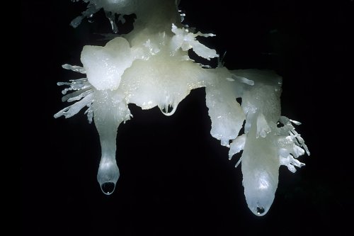 Grotte de Pousselières (Hérault) - Détail de petites stalactites blanches avec aiguilles d'aragonite(Spe-07428)