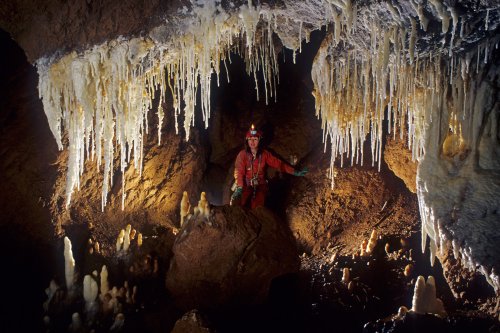 Grotte de Pousselières (Hérault) - Spéléologue derrière un massif de concrétions d'aragonites(Spe-07808)