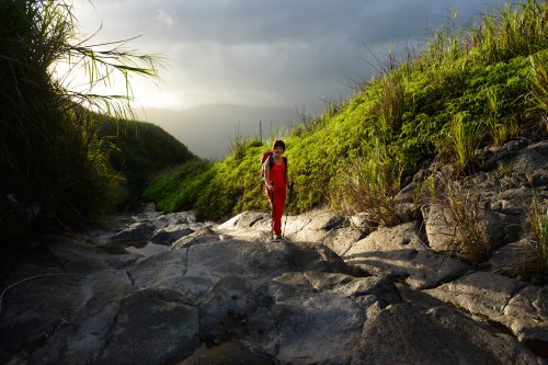 Sulawesi (Indonésie) - Sur les pentes du volcan Lokon.(VO-12-0681)