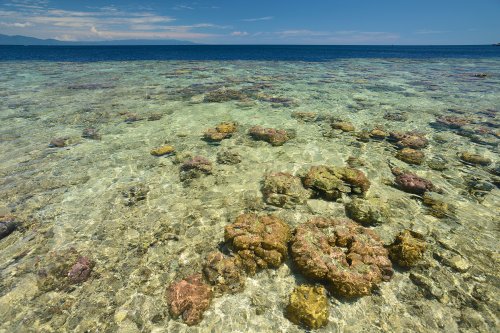 vo-12-0881(VO-12-0881.jpg)