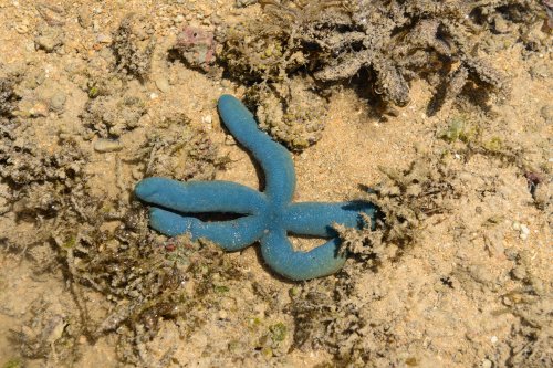 vo-12-0887(VO-12-0887.jpg)