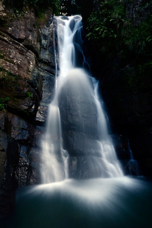 Cascade dans le Parc National El Yunque (Porto Rico)(VO-14-0111)