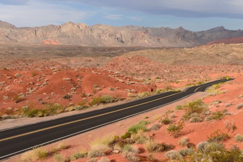 Valley of Fire State Park (Nevada, USA) -route entre Rainbow Vista et White Domes(VO-14-1169)