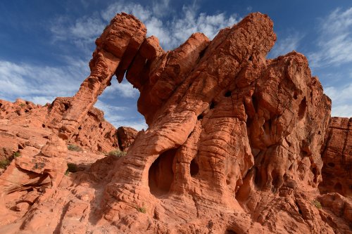 Valley of Fire State Park (Nevada, USA)- Elephant Rock(VO-14-1177)