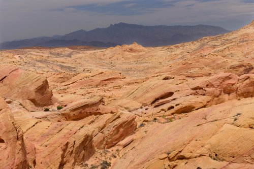 Valley of Fire State Park (Nevada, USA)- panorama autour de Rainbow Vista(VO-14-1199)