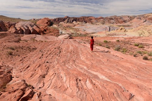 Valley of Fire State Park (Nevada, USA)- panorama depuis the Wave(VO-14-1253)