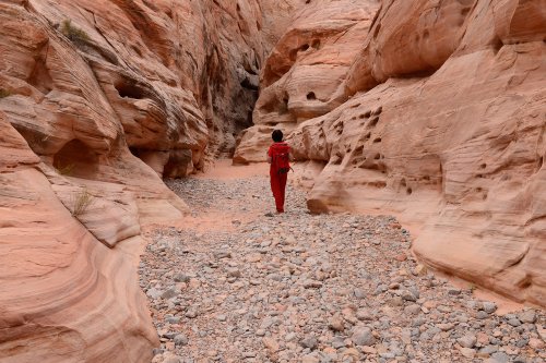 Valley of Fire State Park (Nevada, USA)- petit canyon traversé par White Domes trail(VO-14-1314.jpg)