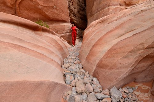 Valley of Fire State Park (Nevada, USA)- petit canyon traversé par White Domes trail(VO-14-1318.jpg)