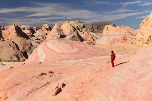 Valley of Fire State Park (Nevada, USA)- secteur oriental de White Domes(VO-14-1394)