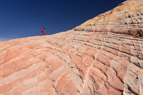 Valley of Fire State Park (Nevada, USA)- grès colorés de White Domes (VO-14-1423.jpg)