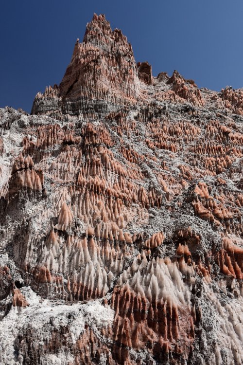 Iran (Montagnes du Zagros) - Dôme de sel de Dashti (Jashak salt dome) : strates de sel rose et gris avec figures de dissolution(VO-16-0350)