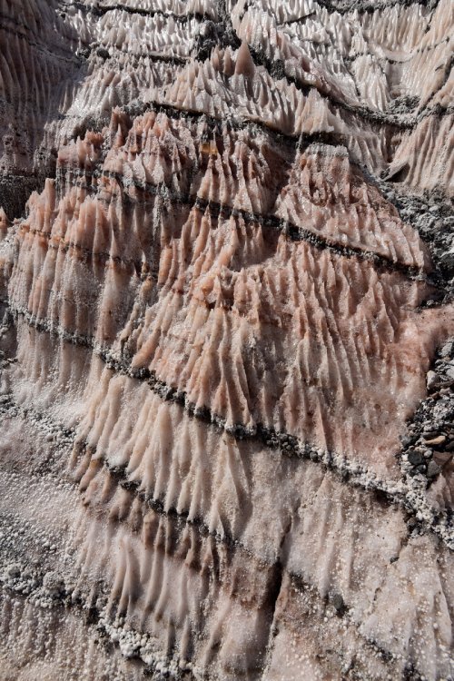 Iran (Montagnes du Zagros) - Dôme de sel de Dashti (Jashak salt dome) : figures de dissolution du sel (pointes et micro rigoles)(VO-16-0446)