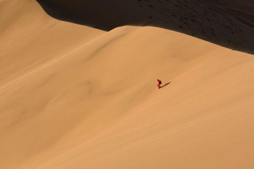 Désert du Badain Jaran (Chine, Mongolie Intérieure) - Randonneuse descendant le versant d'une grande dune éclairé par le soleil couchant(VO-16-1006)