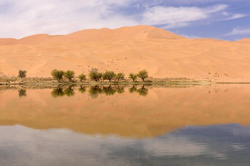 Désert du Badain Jaran (Chine, Mongolie Intérieure) - Lac de Indertu au pied de la dune de Bilutu(VO-16-1088)