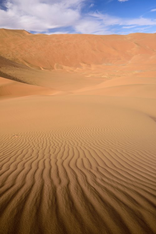 Désert du Badain Jaran (Chine, Mongolie Intérieure) - aux alentours de la dune de Bilutu.(VO-16-1128)