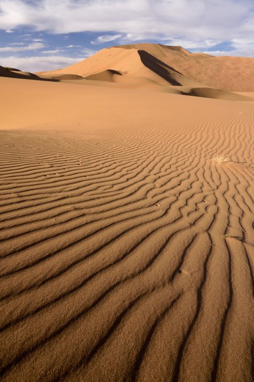 Désert du Badain Jaran (Chine, Mongolie Intérieure) - Versant sud de la dune de Bilutu avec rides de sable en premier plan.(VO-16-1144)