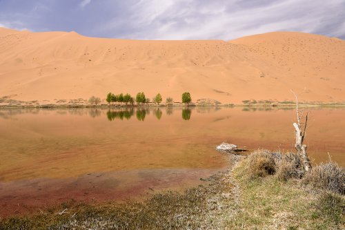 Désert du Badain Jaran (Chine, Mongolie Intérieure) - Lac de Suming Ji Ling (VO-16-1203)