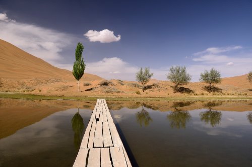 Désert du Badain Jaran (Chine, Mongolie Intérieure) - lac de South Suming Ji Ling. Petit ponton de bois donnant accès à une station météo.(VO-16-1230)