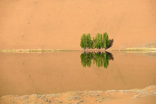 Désert du Badain Jaran (Chine, Mongolie Intérieure) - Lac de South Suming Ji Ling (VO-16-1306)