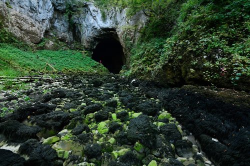 Tkalca Jama (Slovénie) - Perte (à l'automne)(VO-18-0499)