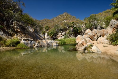 Santiago (Basse Californie, Mexique)  - Gorges de Santa Rita (VO-19-0072)