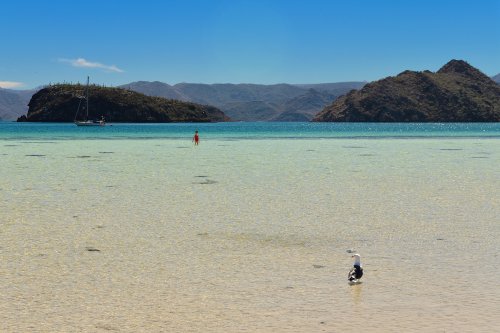 Mer de Cortès à Mulegé (Basse Californie, Mexique) - Plage de Santispac(VO-19-0351)