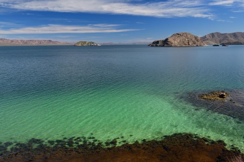 Mer de Cortès aux environs de Loreto (Basse Californie, Mexique)(VO-19-0362)