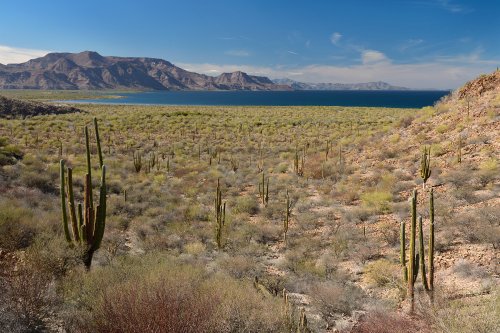 Loreto (Basse Californie, Mexique)  - Côte au nord de Loreto(VO-19-0377)