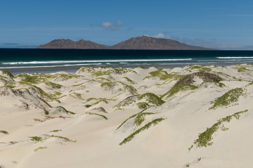 San Carlos (Basse Californie, Mexique) - Dunes de Magdalena Bay avec l'Océan Pacifique en fond(VO-19-0426)