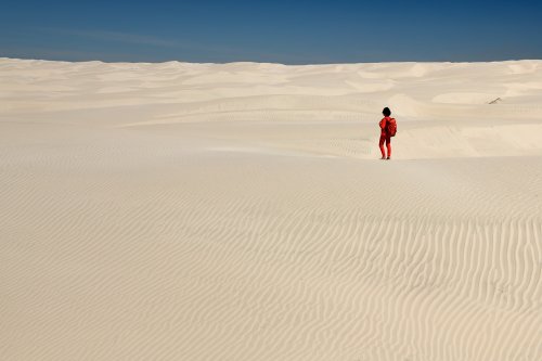 San Carlos (Basse Californie, Mexique) - Dunes de sable de Magdalena Bay(VO-19-0445)