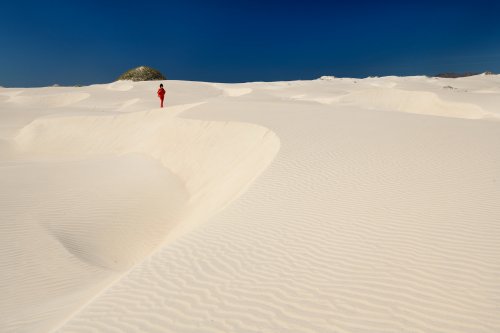 San Carlos (Basse Californie, Mexique) - Dunes de sable de Magdalena Bay(VO-19-0453)