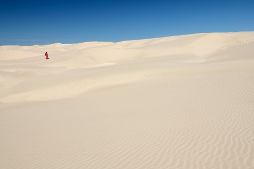 San Carlos (Basse Californie, Mexique) - Dunes de sable de Magdalena Bay(VO-19-0464)
