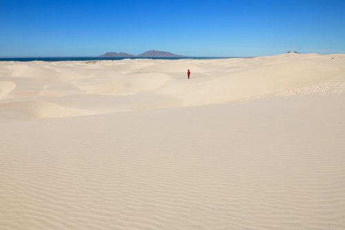 San Carlos (Basse Californie, Mexique) - Dunes de sable de Magdalena Bay(VO-19-0468)