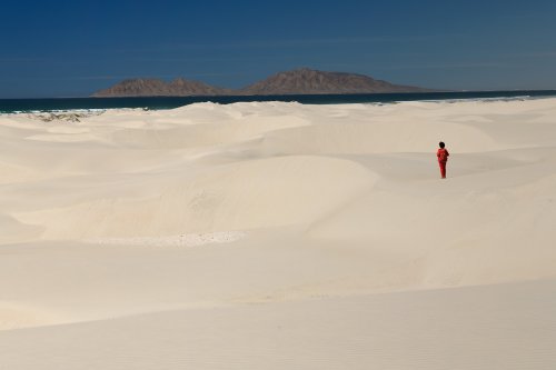 San Carlos (Basse Californie, Mexique) - Dunes de sable de Magdalena Bay (VO-19-0470)