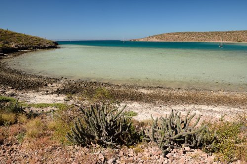 Mer de Cortès aux environs de La Paz (Basse Californie, Mexique)(VO-19-0498.)