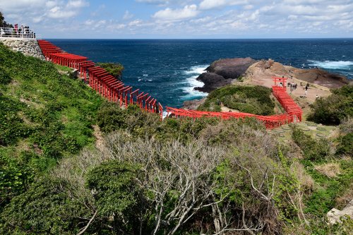 Nagato (pref. Yamaguchi, Japon) - Allée de torii du sanctuaire de Motonosumi Inari sur une falaise surplombant la mer(VO-19-0570)