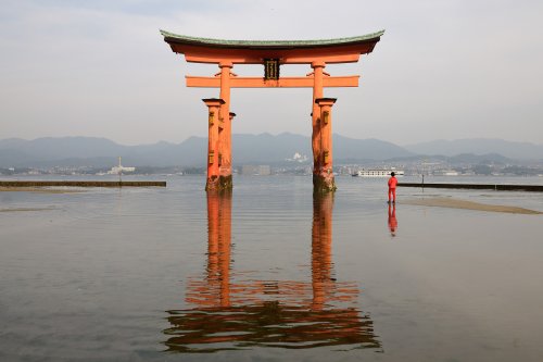 Miyajima island (Pref. Hiroshima, Japon) - Torii flottant du sanctuaire de Itsukushima (VO-19-0702)