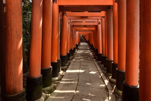 Kyoto (Japon) - Allée de torii du sanctuaire Fushimi Inari(VO-19-0842)
