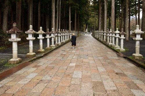 Koya San (Japon) - Moine marchant dans une allée du cimetière bouddhique de Oku-no-in(VO-19-0953)