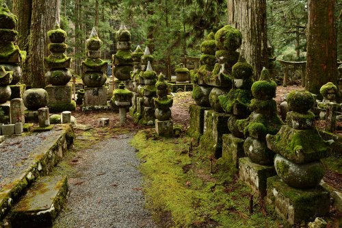 Koya San (Japon) - Cimetière bouddhique de Oku-no-in(VO-19-0984)