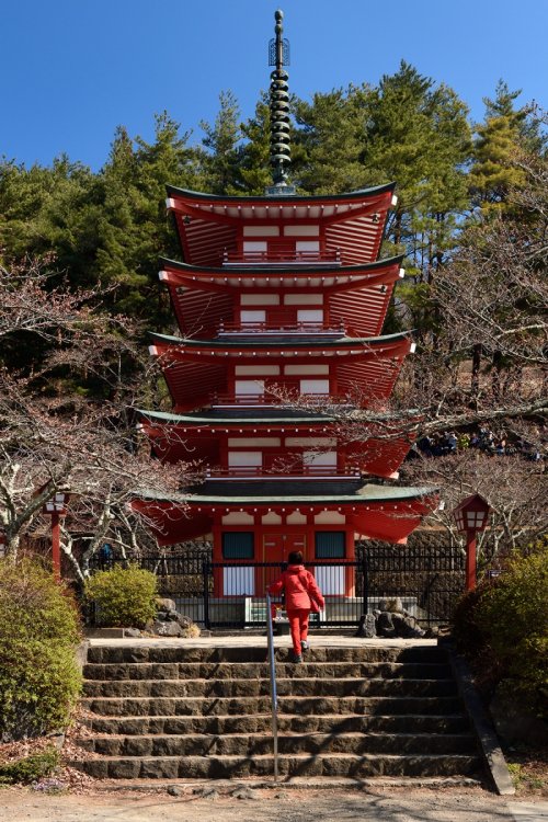 Fujiyoshidai ( Japon) - Pagode Chureito (VO-19-1202)