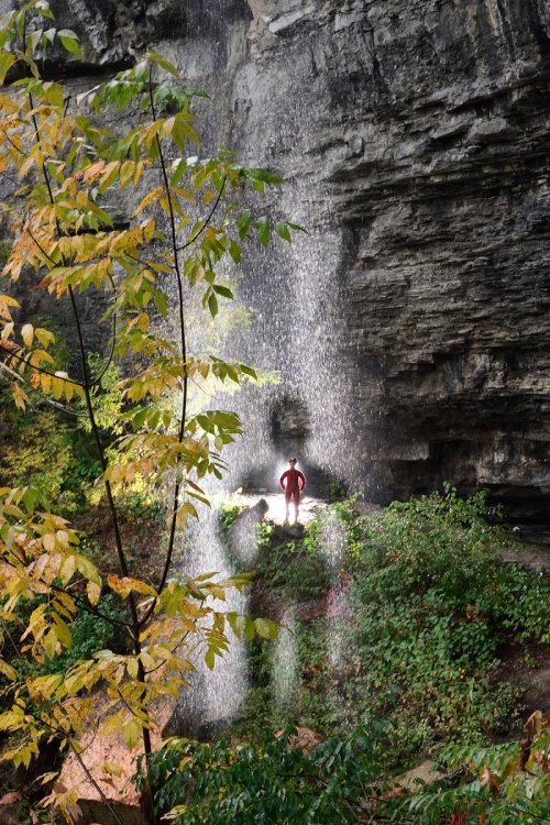 Thatcher Park (état de New York, USA) - Cascade le long de Indian Ladder Trail(VO-19-1920)