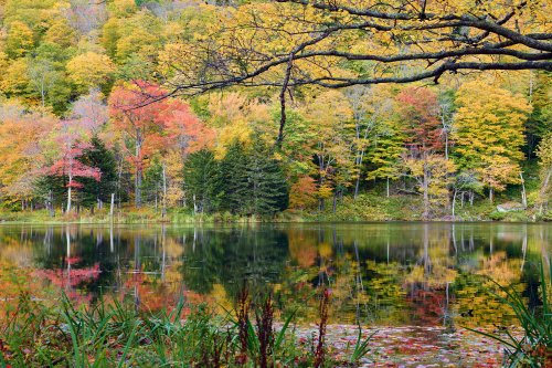 Echo Lake (Vermont, USA) - Arbres aux feuillages d'automne se reflétant dans le lac (sans ciel)(VO-19-2016)